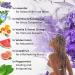 Cleverfy Aromatherapy Shower Steamers - 6 Essential Oil Shower Bombs | Lavender, Watermelon, Grapefruit & More - Buy Online on GoSupps.com