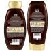 Garnier Whole Blends Haircare - Ginger Recovery Strengthening Shampoo & Conditioner Set 12.5 FL OZ - 1 Set - Buy Online on GoSupps.com