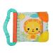 Bright Starts Teethe & Read Soft Book Toy  Ages 3 Months +  Style May Vary