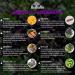 HerbaMe Advanced Immune System Booster - 15-in-1 Supplement with Elderberry, Quercetin, Zinc, Vitamin D - 90 Capsules - Buy Online on GoSupps.com
