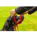 Gencon X Large Headcollar Left Black X Large Black - Buy Online on GoSupps.com