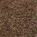 Tetra BloodWorms Freeze-Dried Fish Food | Premium Freshwater & Saltwater Nutrition - Buy Online on GoSupps.com
