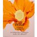 Vince Camuto Bella Eau de Parfum Perfume for Women Floral and Fruity Scent 3.4 Fl Oz- EDP - Buy Online on GoSupps.com