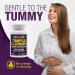 Temple Cleanse 120 Capsules - Magnesium Oxygen-Based Detox for Gentle Colon Cleanse Relieves Constipation No Gas or Bloating - Body Detox for Men & Women - Buy Online on GoSupps.com