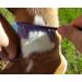 Resco Professional Antistatic Comb for Dogs and Cats - Candy Blue | Steel Pencils & Fine Tooth Spacing for Optimal Fur Care - Buy Online on GoSupps.com