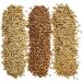 Organic Cat Grass Seeds Non-GMO A Mixture of Wheat Oats and Barley (350g) 350 g (Pack of 1) - Buy Online on GoSupps.com
