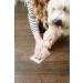 Pearhead Pet Ink Print Pad - Black | Easy Pet Paw Print Kit - Buy Online on GoSupps.com