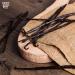 Gourmet Bourbon Grade A Madagascar Vanilla Beans for Baking & Extract - 10 Count Pack - Buy Online on GoSupps.com