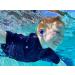 Get Plugged Swim Plugs - Ultimate Ear Protection for Swimmers | Buy Online for International Shipping - Buy Online on GoSupps.com