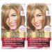 L'Oreal Paris Excellence Creme Permanent Hair Color  8 Medium Blonde  100 percent Gray Coverage Hair Dye  Pack of 2 2 Count (Pack of 1) 8 Medium Blonde