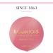 Bourjois Little Round Pot Blusher 34 Rose D'or 2.5g - Long-Lasting Cheek Color - Buy Online on GoSupps.com