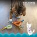 Petstages Catnip Dental Health Chews - Dental Care Chew Toys for Cats | Multicolored 2 Pack Teething Chews for Fresh Breath & Healthy Teeth - Buy Online on GoSupps.com