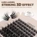 LASHVIEW 3D Wispy Cluster Lashes - Reusable Multilayered Eyelash Extensions (10-16mm) | Fluffy DIY Eyelash Clusters for Stunning Volume - Buy Online on GoSupps.com