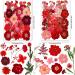 25 Types 83PCS Red Dried Pressed Flowers for Resin - Youthbro Real Nature Flowers Herb Set for DIY Crafts - 2 Pack Red Floral Decors - Buy Online on GoSupps.com