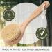 Hydrea London Premium Cactus Bristle Dry Body Brush - Exfoliating Vegan Dry Brush for Cellulite Removal and Lymphatic Drainage - FSC Certified Beechwood - Buy Online on GoSupps.com