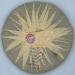 Pu-erh tea 2007 Chinese tea color badge 357g Raw - Buy Online on GoSupps.com