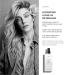 PH Hydrating Leave-In Detangler 250ml - Nourishing Hair Care for All Hair Types | International Shipping Available - Buy Online on GoSupps.com