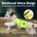 Spofly Neon Yellow Dog Vest - High Visibility Safety Jacket for Hunting & Outdoors | XS Size with Velcro Fastener - Buy Online on GoSupps.com