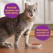 Meow Mix Dry Cat Food Original Choice 7.25kg Bag - Buy Online on GoSupps.com