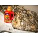 Wildlife Research 1249 Gold Clothing Wash Scent Killer 32 OZ - Odor Eliminator for Outdoor Gear - Buy Online on GoSupps.com