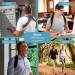 TECH THERAPEUTICS Posture Corrector for Women and Men - Back Support Brace for Shoulder, Back, Cervical, and Neck Pain Relief - Adjustable and Breathable Upper Back Straightener - Size XS-S - Buy Online on GoSupps.com