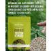 Sun & Seed Organic Hemp Seed Protein Powder - 300g - High Protein & Fiber, Low Fat - 100% Organic, Vegan-Friendly - Buy Online on GoSupps.com