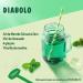 Teisseire Z ro Sucre Sirop de Menthe Verte pour Boisson Rafra chissante Cocktails Bidon 60cl - Buy Online on GoSupps.com