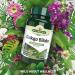 Natures Aid Ginkgo Biloba 6000 mg Equivalent Vegan 90 Tablets Single - Buy Online on GoSupps.com