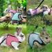 Adjustable Rabbit Dishes & Leash Set for Small Animals 2 Pieces in Blue & Pink | Perfect for Rabbits Hares Hamsters & Cats | Outdoor Use - Buy Online on GoSupps.com