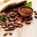 Yupik Organic Raw Cacao Beans 1Kg - Buy Online on GoSupps.com