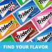 Trident Wintergreen Sugar Free Chewing Gum with Xylitol 14 Sticks 39 g - Buy Online on GoSupps.com