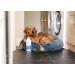 Pet Bed Wash - Non Biological Laundry Detergent - Buy Online on GoSupps.com