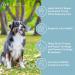 Arthramine Glucosamine for Large Dogs - 120 Beef Chewable Tablets | International Veterinary Sciences - Buy Online on GoSupps.com