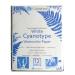 Cyanotype 8 x 10 Paper - 12 Pack (White)