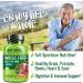 NATURELO Whole Food Multivitamin for Men 50+ | 120 Vegetarian Capsules - Natural Health Support - Buy Online on GoSupps.com