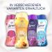 Lenor Laundry Perfume Golden Orchid 210g | Long-Lasting Freshness | International Shipping Available - Buy Online on GoSupps.com