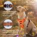 Funfox Adjustable No-Pull Dog Harness & Tableware for Large Dogs | Breathable & Safe - Orange - Buy Online on GoSupps.com