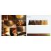 Wella Illumina Color Color Card - International Shipping | Shop Premium Hair Color Samples - Buy Online on GoSupps.com