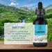 HERBAMAMA Lomatium Liquid Extract - Organic Desert Parsley Tincture for Immunity & Respiratory Health - Joint Pain Relief - Vegan - 2 fl. oz - Buy Online on GoSupps.com