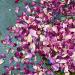 Edible 'Enchanted Forest' Pink Red and Burgundy Rose with Blue Cornflower Dried Flower Petal Mix - 50g - Food Grade - Culinary - Cake - Bake - Decoration (184) Cornflower 50g - Buy Online on GoSupps.com