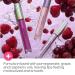 Almay Goddess Gloss Halo Lip Gloss - 1 Count (Pack of 1) - Buy Online on GoSupps.com