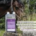 STR H Monks Pepper for Horses - 1L Hormone Balance Liquid for Mares Stallions & Geldings | Herbal Equine Supplement - Buy Online on GoSupps.com