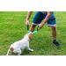 Buy Bull Fit Dog Toy - 30cm Durable K9 Training Tug with Two Loops - Handmade High-Quality Cotton Nylon (Green) for Tough Play - Buy Online on GoSupps.com