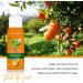 Buy OdoBan Aroma Eliminator Set - Citrus Orange Air Freshener & Multipurpose Disinfectant - 10oz 1 Gallon & 14oz Solid Scent Absorber | International Shipping Available - Buy Online on GoSupps.com