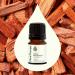 Plant Therapy Sandalwood Indian Essential Oil 2.5 mL (1/12 oz) 100% Pure Undiluted Therapeutic Grade - Buy Online on GoSupps.com