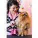Andis Pet Steel Comb 10 Inch - Efficient Grooming Tool for Pets - Buy Online on GoSupps.com