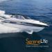 SereneLife 3 Bow Bimini Top Canvas Sun Shade Boat Canopy - Double Wall Aluminum Frame - 6'L x 46H x 79-84 Gray - Buy Online on GoSupps.com