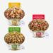 Applaws Natural Wet Dog Food Tin Grain Free Meat Selection with Vegetables in Jelly 156g (8 x 156g Tins) Meat Selection in Jelly 156 g (Pack of 8) - Buy Online on GoSupps.com