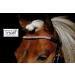 Buy Tysons Breeches Bridle in Rose Gold | Mini Shetty Riding Bridle with Leather Glitter Rhinestones + Reins - International Shipping Available - Buy Online on GoSupps.com