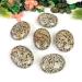 Buy Large Dalmatian Jasper Palm Stones - High-Quality Crystal Gemstones for Healing & Decor - Buy Online on GoSupps.com